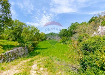 Giardino - Villa Contrada Serio, Locorotondo - foto 59