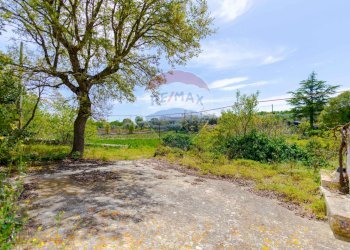 Giardino - Villa Contrada Serio, Locorotondo - foto 64