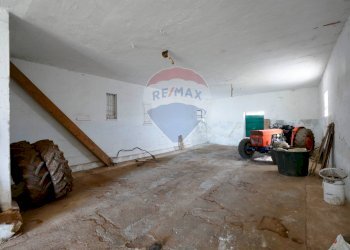 Parcheggio - Agriturismo Contrada Terzi Riccarda
61, Mottola - foto 13