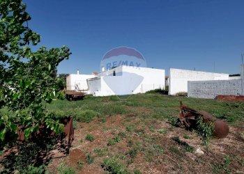 Giardino - Agriturismo Contrada Terzi Riccarda
61, Mottola - foto 12