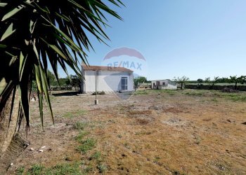 Giardino - Agriturismo Contrada Terzi Riccarda
61, Mottola - foto 15