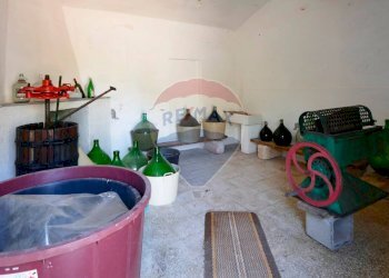 Terrazza - Agriturismo Contrada Terzi Riccarda
61, Mottola - foto 17