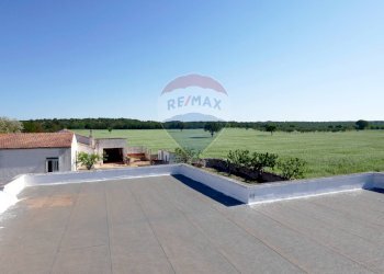 Terrazza - Agriturismo Contrada Terzi Riccarda
61, Mottola - foto 22