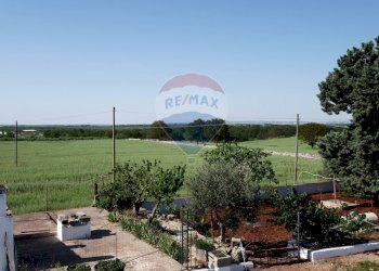 Giardino - Agriturismo Contrada Terzi Riccarda
61, Mottola - foto 20