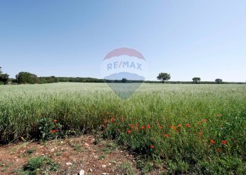 Giardino - Agriturismo Contrada Terzi Riccarda
61, Mottola - foto 21