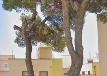 Edificio all\'aperto - Trilocale Via Pò
 
10, Nardò - foto 7