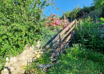 Giardino - Rustico Località Aga, Casalzuigno - foto 14