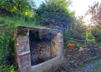 Giardino - Rustico Località Aga, Casalzuigno - foto 16