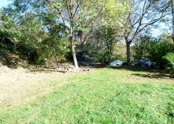 Giardino - Terreno agricolo via Battaglia s.Martino, Cuveglio - foto 4