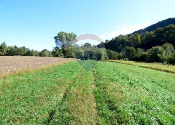 Giardino - Terreno agricolo via Battaglia s.Martino, Cuveglio - foto 7
