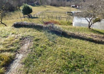 Giardino - Terreno edificabile via xx settembre, Dumenza - foto 3