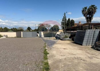 Non correlato - Terreno agricolo via Simo, Roma - foto 7