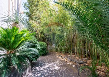 Giardino - Appartamento Via dei Monti Parioli, Roma - foto 26