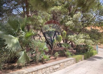 Giardino - Villa c.da Pontillo
 
snc, Santa Ninfa - photo 53