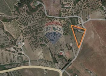 Posizione della mappa - Villa c.da Pontillo
 
snc, Santa Ninfa - photo 54