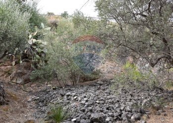 Giardino - Terreno edificabile Via esterna Spartiviolo
snc, Monreale - foto 4