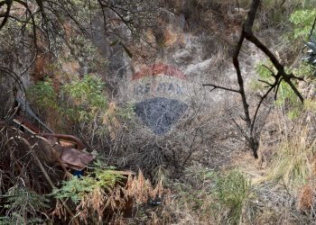 Giardino - Terreno edificabile Via esterna Spartiviolo
snc, Monreale - foto 17