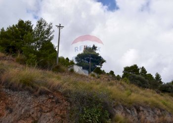 Giardino - Terreno edificabile Via Esterna Spartiviolo
snc, Monreale - foto 7