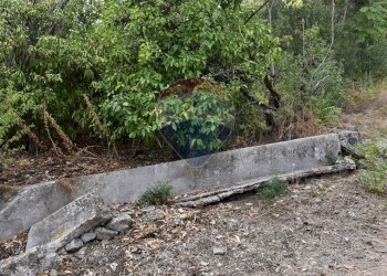 Giardino - Terreno edificabile Via Esterna Spartiviolo
snc, Monreale - foto 9