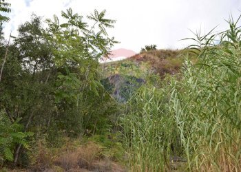 Giardino - Terreno edificabile Via Esterna Spartiviolo
snc, Monreale - foto 11