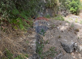 Giardino - Terreno edificabile Via Esterna Spartiviolo
snc, Monreale - foto 18