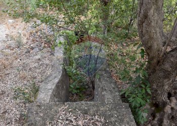 Giardino - Terreno edificabile Via Esterna Spartiviolo
snc, Monreale - foto 19