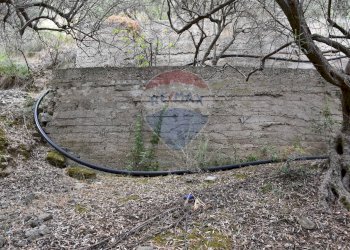 Giardino - Terreno edificabile Via Esterna Spartiviolo
snc, Monreale - foto 20