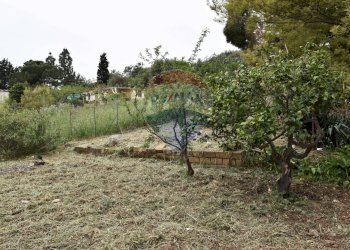 Giardino - Villa Contrada Accia Petrusa
 
snc, Misilmeri - photo 12