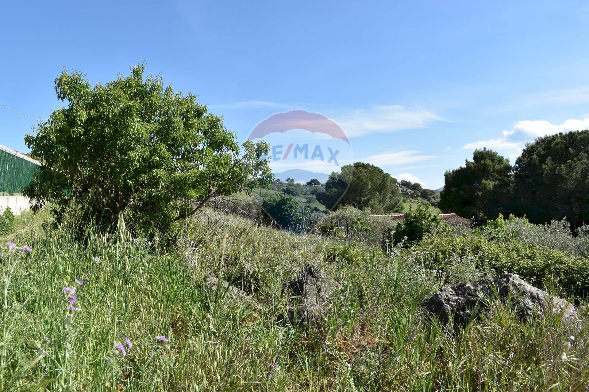 Vista delle montagne - Agricultural land Contrada Grassurelle
snc, Bolognetta - photo 2