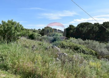 Vista delle montagne - Terreno agricolo Contrada Grassurelle
 
snc, Bolognetta - foto 4