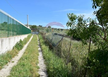Giardino - Terreno agricolo Contrada Grassurelle
 
snc, Bolognetta - foto 6