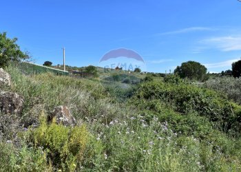 Vista delle montagne - Terreno agricolo Contrada Grassurelle
 
snc, Bolognetta - foto 7