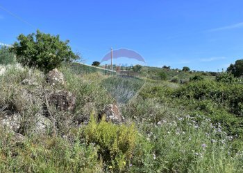 Vista delle montagne - Terreno agricolo Contrada Grassurelle
 
snc, Bolognetta - foto 8