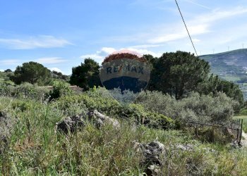 Vista delle montagne - Terreno agricolo Contrada Grassurelle
 
snc, Bolognetta - foto 15