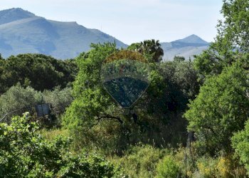 Vista delle montagne - Terreno agricolo Contrada Grassurelle
 
snc, Bolognetta - foto 16
