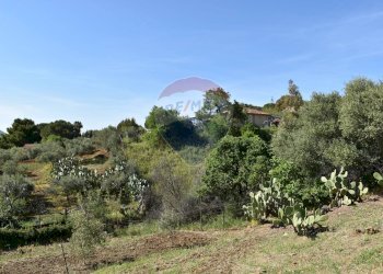 Giardino - Terreno agricolo Contrada Grassurelle
 
snc, Bolognetta - foto 18