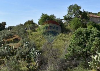Non correlato - Terreno agricolo Contrada Grassurelle
 
snc, Bolognetta - foto 19