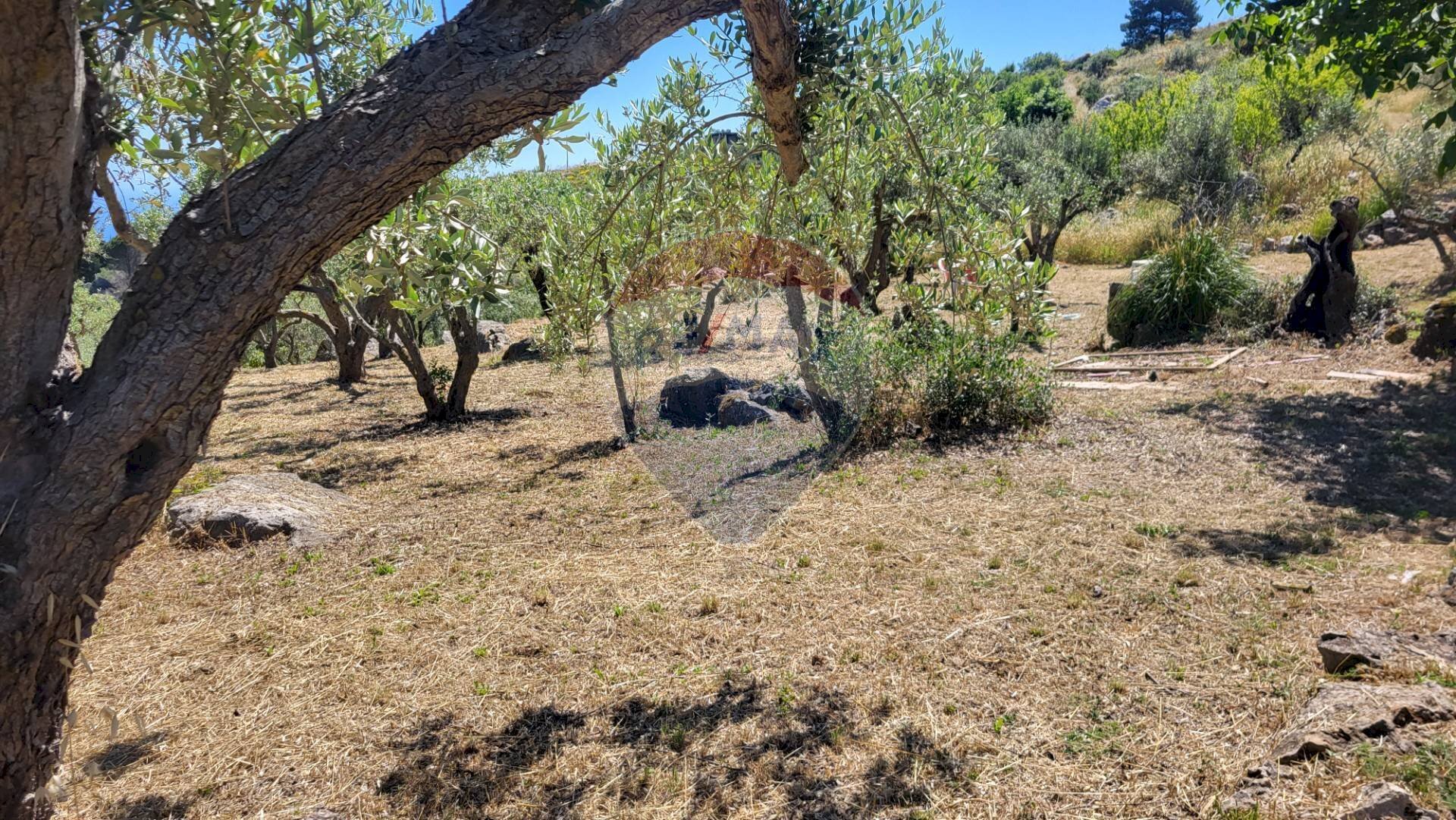 Giardino - Terreno edificabile v. regione siciliana. C.da Caputo, Monreale - foto 2