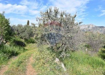 Giardino - Terreno edificabile v. regione siciliana. C.da Caputo, Monreale - foto 6