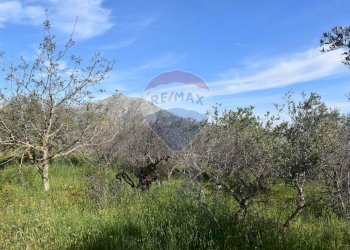 Vista delle montagne - Terreno edificabile v. regione siciliana. C.da Caputo, Monreale - foto 8