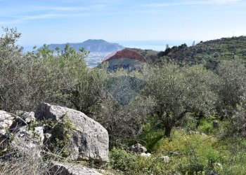Vista delle montagne - Terreno edificabile v. regione siciliana. C.da Caputo, Monreale - foto 9