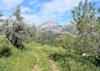 Vista delle montagne - Terreno edificabile v. regione siciliana. C.da Caputo, Monreale - foto 15