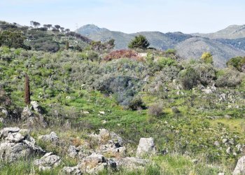 Vista delle montagne - Terreno edificabile v. regione siciliana. C.da Caputo, Monreale - foto 17