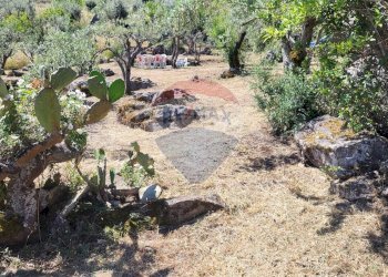 Giardino - Terreno edificabile v. regione siciliana. C.da Caputo, Monreale - foto 1