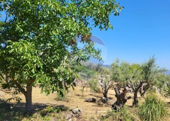 Giardino - Terreno edificabile v. regione siciliana. C.da Caputo, Monreale - foto 21