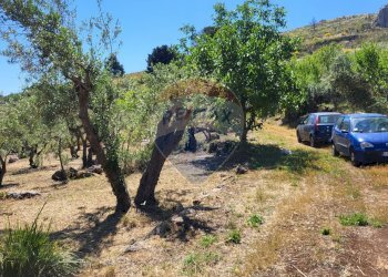 Giardino - Terreno edificabile v. regione siciliana. C.da Caputo, Monreale - foto 23