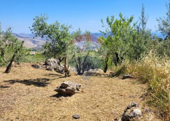 Giardino - Terreno edificabile v. regione siciliana. C.da Caputo, Monreale - foto 30