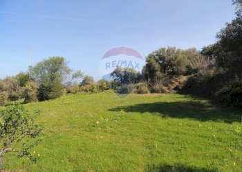 Terreno - Terreno edificabile contrada Bragone
snc, Termini Imerese - foto 10