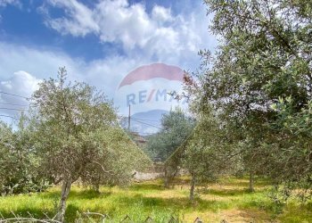 Giardino - Stabile - Palazzo Via Ponticello Oneto
 
7, Palermo - foto 19