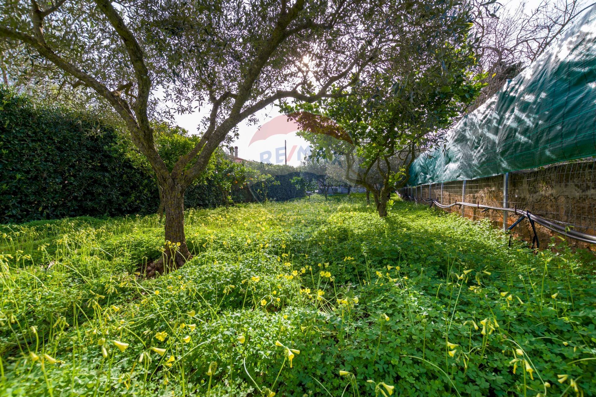 Terreno - Terreno agricolo via Ragosia, Valderice - foto 1